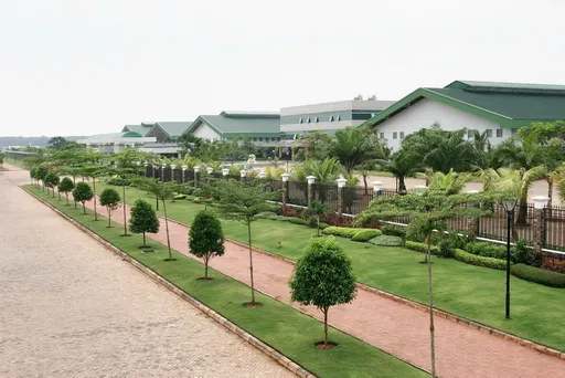 製鞋大廠寶成上半年獲利年增近8成 鞋類製造業務穩健復甦