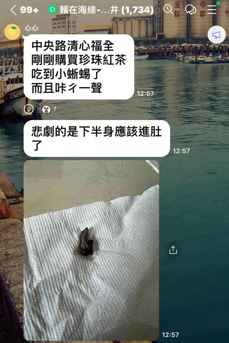 女網友在LINE群組PO出照片，說明吃到小蜥蜴的經過。翻攝LINE群組