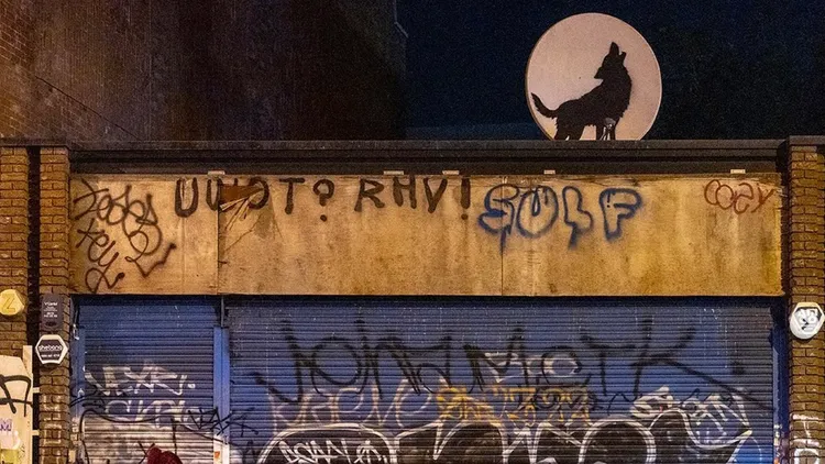 班克西8日在一個衛星碟形天線上繪出一匹狼，但亮相不到1小時就被偷。翻攝自IG@banksy