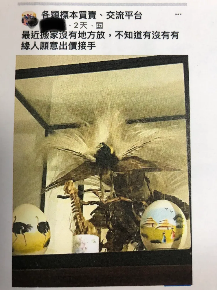 母子在網路刊登販售訊息。保七總隊提供