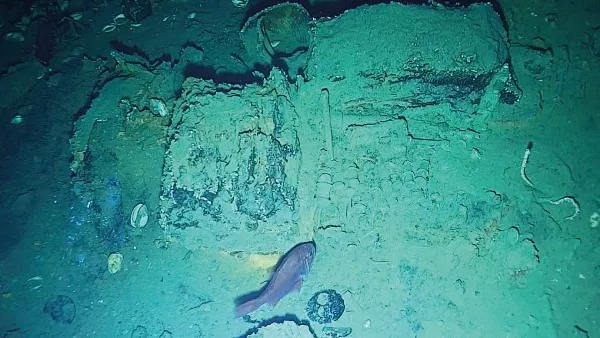 調查後團隊發現的許多工藝品。翻攝自哥倫比亞文化部https://www.mincultura.gov.co