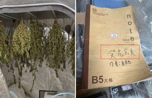 笑翻!「癸花宝点」4個字僅1字寫對  彰化男自學種大麻還編撰成冊