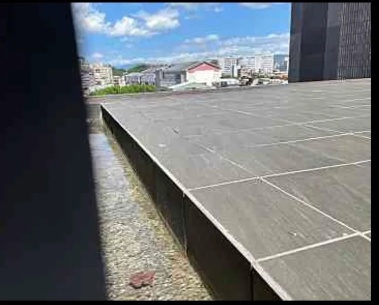 大龍社宅六樓住戶排水不良。北市議員陳怡君提供。