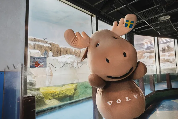 即日起至臺北市立動物園國王企鵝館參觀，就可以看到北歐幸運星 MILU 的超萌窗貼和可愛有活力的國王企鵝在館內與大家同樂。VOLVO提供