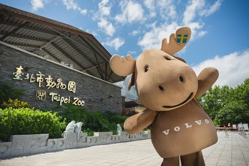 VOLVO投身北市動物園國王企鵝認養計畫 聚焦極圈動物保育