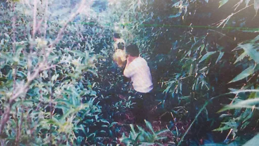 桃園28年前木箱殺人棄屍「這原因」偵破 6嫌逃過法律卻逃不了良心譴責