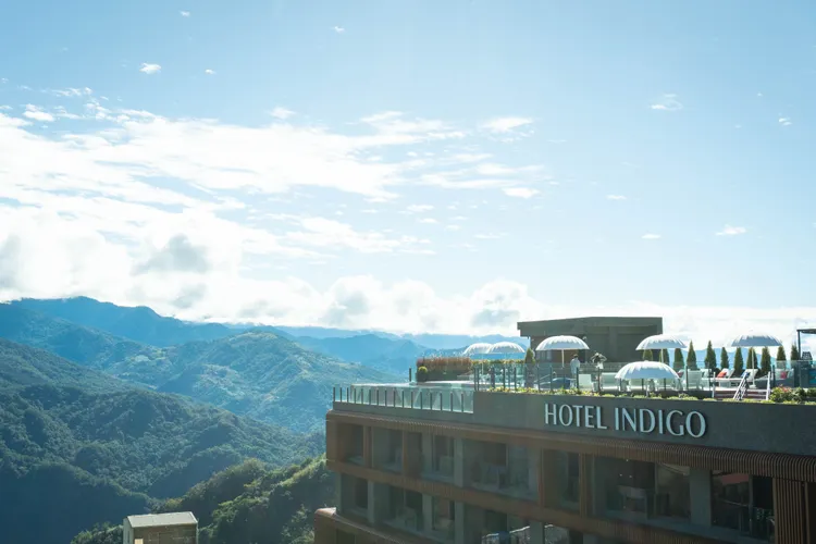 阿里山英迪格酒店背向茶園，面向群峰。業者提供