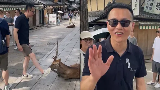 惡劣中國人!遊奈良「踢鹿」被抓包 日本民眾怒斥滾出去
