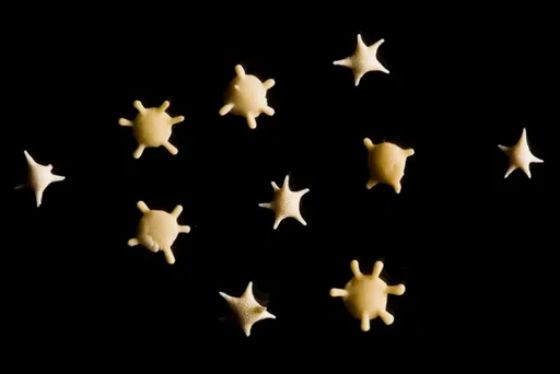 原來星砂這麼稀有？世界上少數海灘才能發現　它們曾經是活的