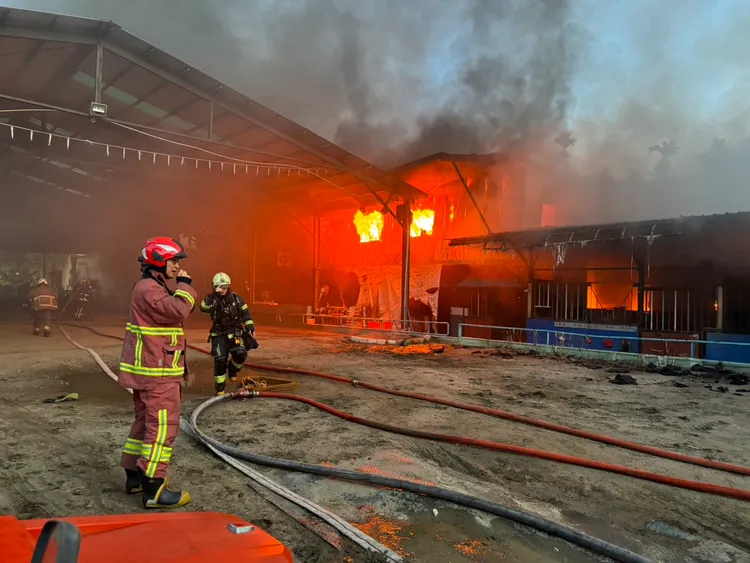 板橋鐵皮馬場大火，明星馬王子被燒死。翻攝畫面