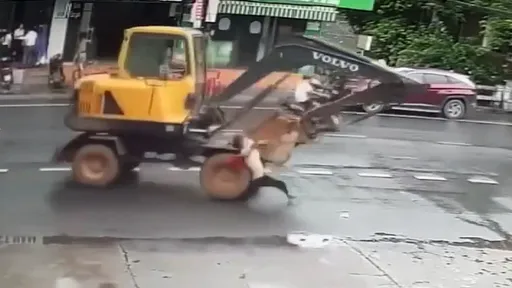 驚悚影片|女路人「不得不」走車道 被挖土機追撞輾壓慘死