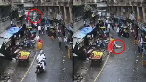 驚悚影片|黃金獵犬5樓墜落「砸死4歲女童」 飼主過失殺人被捕