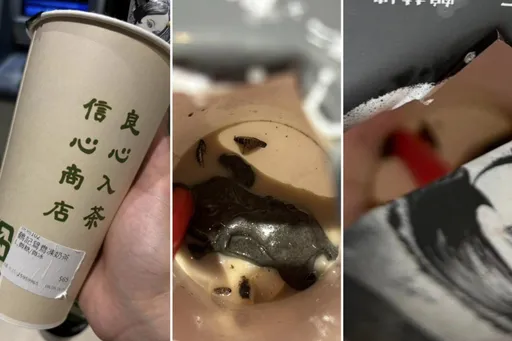 喝芝麻凍「脆脆的」驚見蟑螂 鶴茶樓分店暫停業!當天發票全額退費