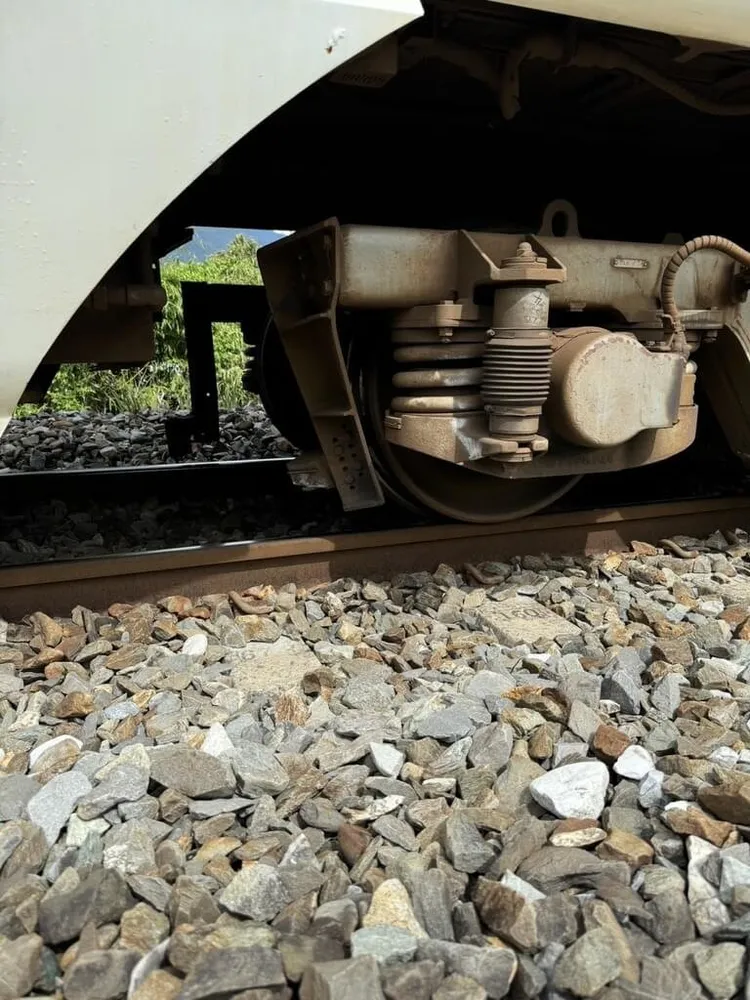 台鐵402車次太魯閣號行經花蓮東里東竹間時，疑似撞擊石頭造成車頭前方輔助排障器歪斜。中央社