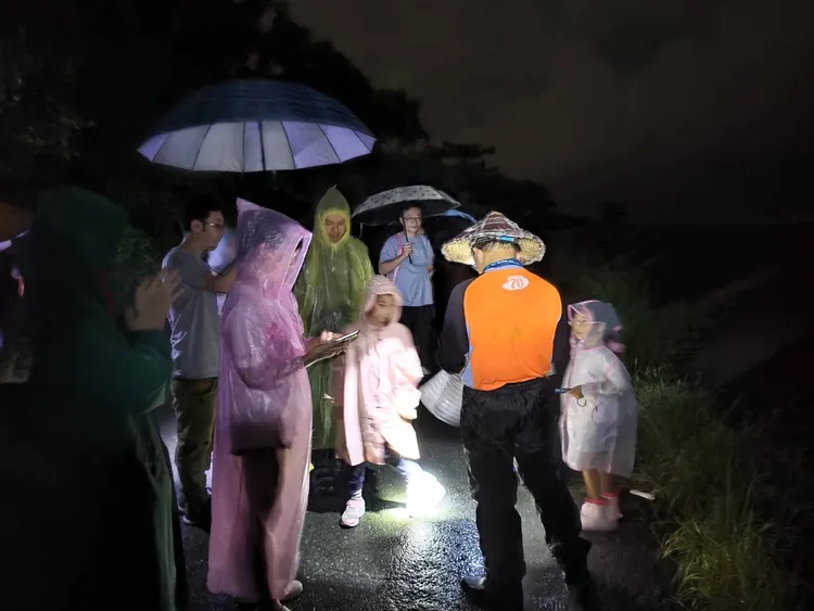 陸蟹夜間觀察活動，介紹陸蟹生態，並守護陸蟹媽媽平安釋幼。工務局提供