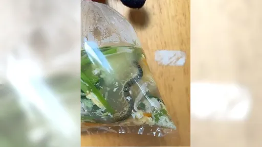 買蛋花湯變大補湯? 超噁畫面曝光「絕對不是冬蟲夏草」