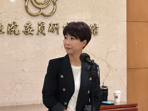 林宜瑾被搜索涉「台南幫」內鬥?陳亭妃:我沒那麼厲害