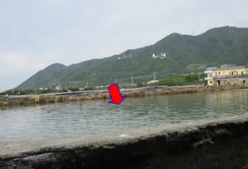 屏东枋山逾7000坪鱼塭地要拍卖 底价5423万!业内人士直呼划算