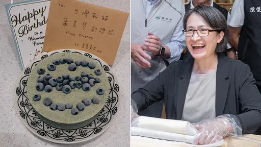蕭美琴「香菜蛋糕」慶生　網友：副總統這蛋糕太狠