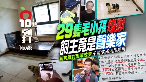 壹蘋10點強打|29隻毛小孩煉獄飼主竟是聲樂家!貓狗餓到兩眼放空 千萬宅滿地屎飄臭