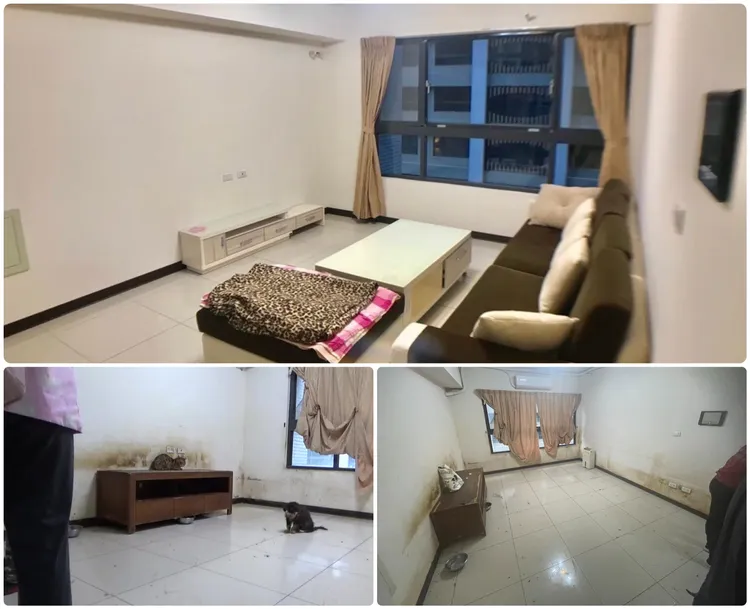 客廳沙發都被搬走 改為動物隨意走動便溺的空間。投訴人提供