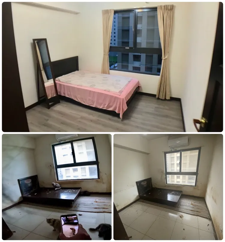 音樂家蔡漢俞所睡的房間原本相當乾淨(上圖)，入住後變調，如今成了骯髒貓窩(下圖)。投訴人提供