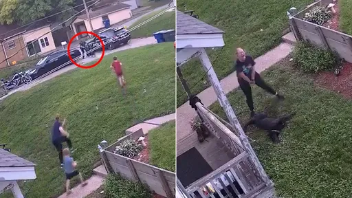 寵物狗朝警狂吠「被連開2槍格殺」 飼主母子目睹尖叫淚崩