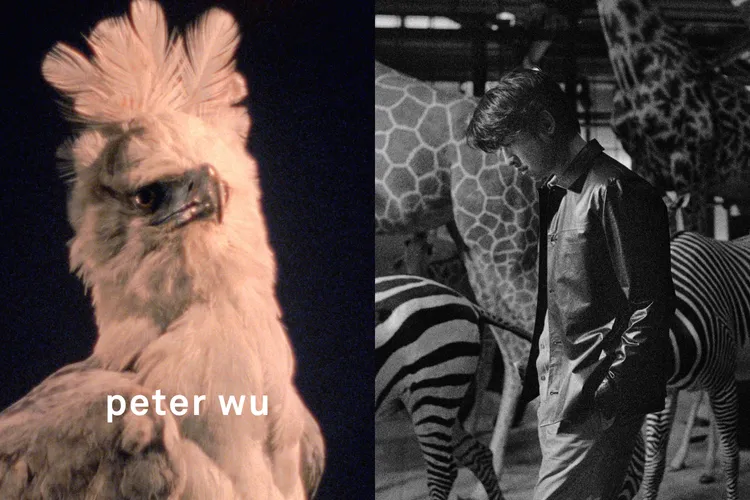 peter wu 2024秋冬系列戶外廣告形象照。品牌提供