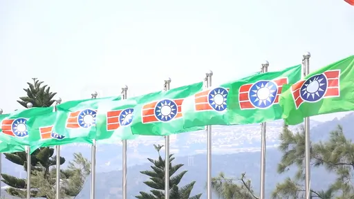 不服遭指國民黨附隨組織 救國團興訟敗訴