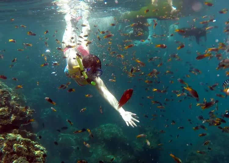 礁溪晶泉丰旅「離島潛旅。覓夏」專案，與蘇澳「豆腐岬浮潛SUP」合作，由專業教練指導浮潛，旅客能輕鬆探索海底生態，並乘浪享受划槳與衝浪的沁涼。業者提供