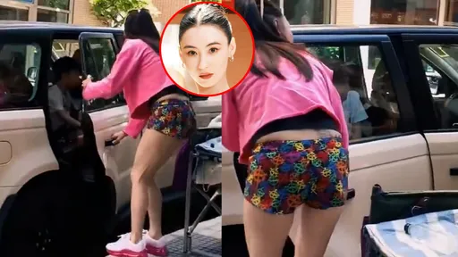 張柏芝生完第4胎出關？粉絲曝真相