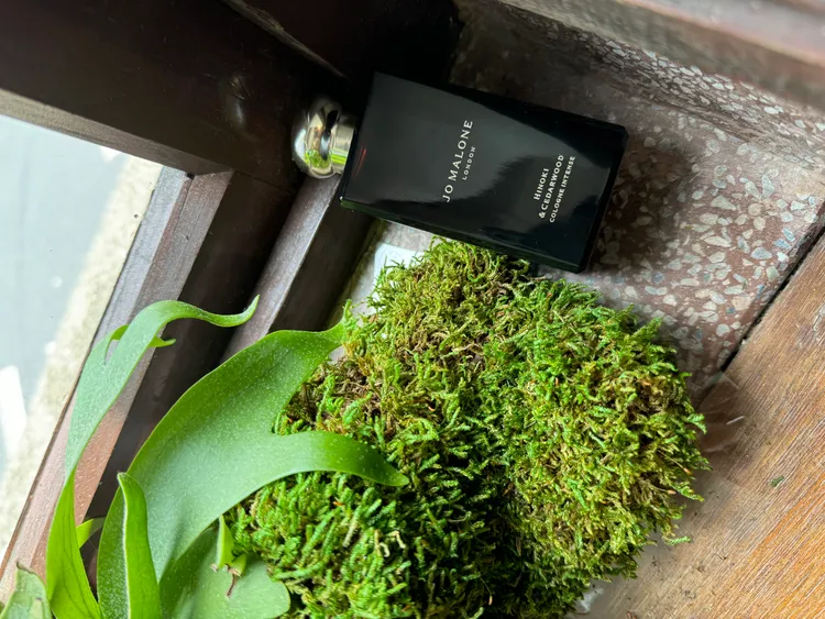 Jo Malone檜木與雪松芳醇香水，50ml／5650元、100ml／7800元。張家玲攝