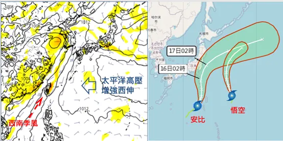 最新(13日20時)歐洲模式(ECMWF)模擬顯示，下週一(19日)起太平洋高壓逐漸增強、西伸，下週一、二「西南季風」正通過台灣(左圖)。最新(14日2時)中央氣象署「路徑潛勢預測圖」顯示，輕颱「悟空」，在日本東方海面，向北北西轉東北前進。另一輕颱「安比」，今將增強為「中度」，其邊緣將在週五(16日)掠過本州東南側、大迴轉加速遠離(右圖)。(左圖擷自tropical tidbits)氣象應用推廣基金會