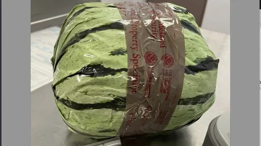 太假了吧!墨西哥卡車司機扮冰毒成「假西瓜」 技術太差警察現場抓包