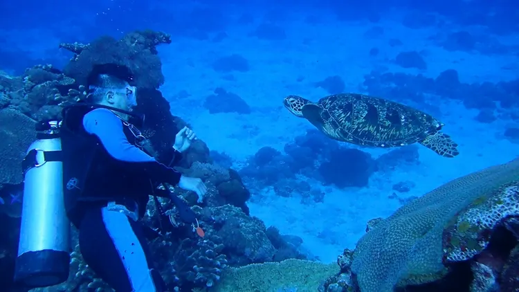 綠島水域能見度高，是極佳潛點，海龜看得很清晰。孫培瑋提供