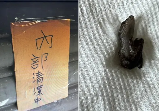 噁爆!台中女喝珍紅竟吞下半截「小蜥蜴」 業者提早打烊陪就醫