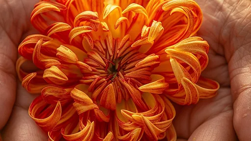 入獄「菊花變向日葵」來真的 男囚遭眾人輪姦半小時痛苦慘叫