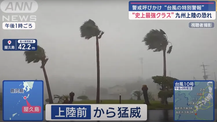 屋久島的狂風最大瞬間風速超過每秒40公尺，樹已被吹成75度。翻攝自全日本新聞網