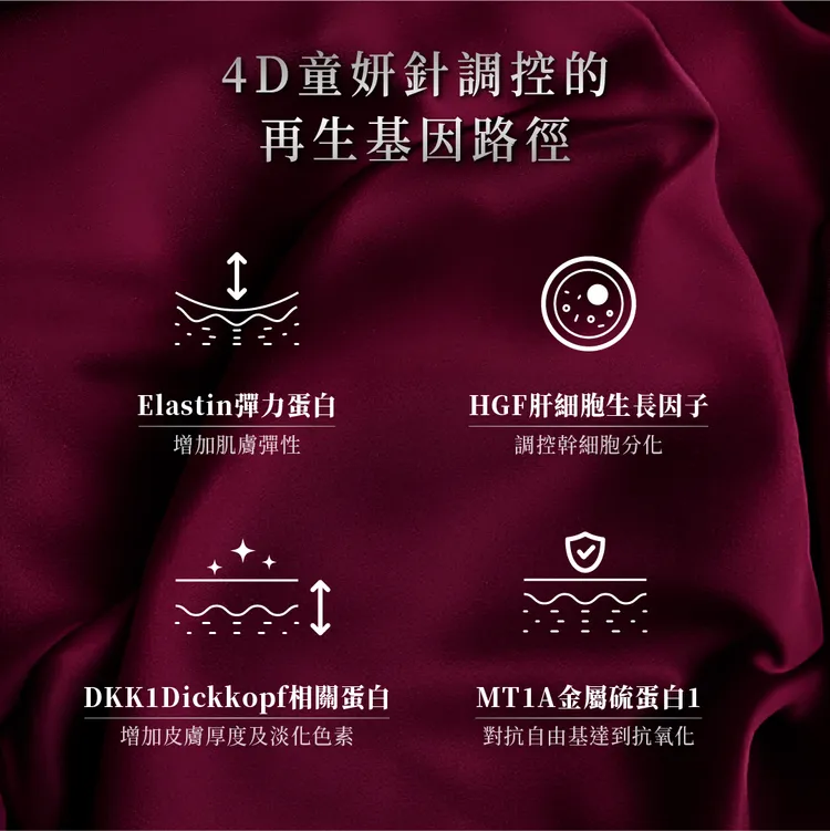 4D童妍針調控的再生基因路徑。