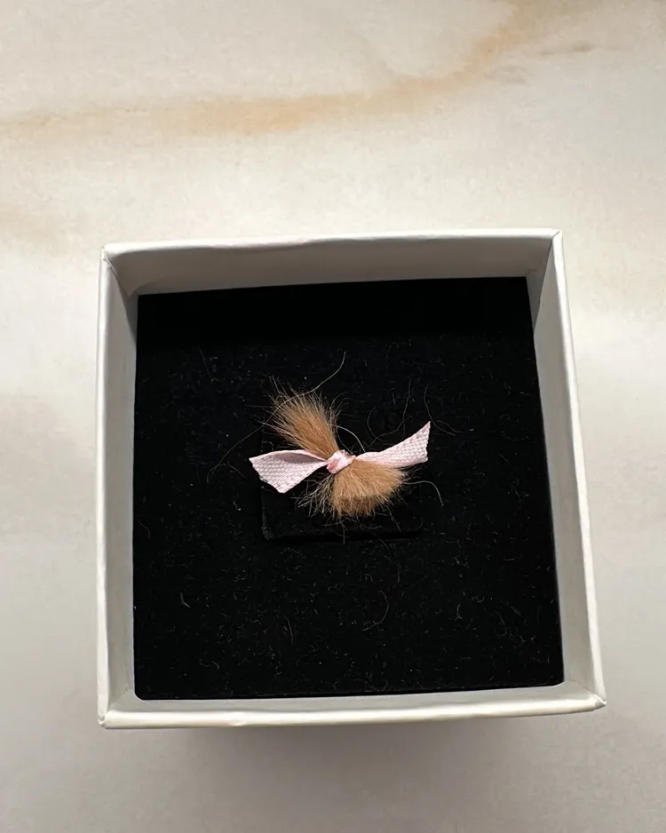 林憶蓮留下愛犬的毛髮留念。翻攝林憶蓮臉書