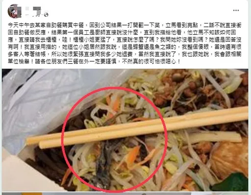 自助餐店便當打開驚見「壁虎」加菜!店員竟這樣瞎回 高市衛生局查疏失
