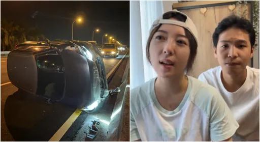 五熊被撞車翻滾　「一心就要活」奮力爬出！機智動作成保命關鍵