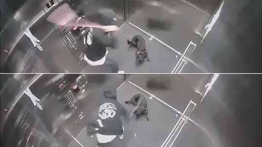 凶殘影片|假面飼主「鞭刑」電梯虐狗 門一開就抱牠裝貼心