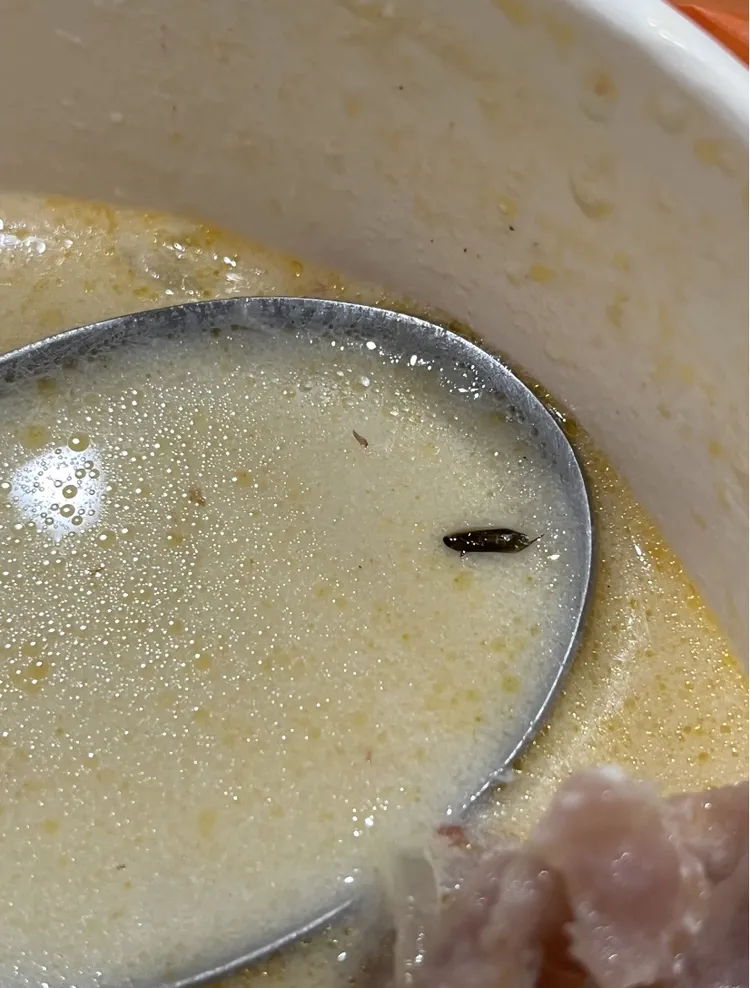 民眾投訴《壹蘋新聞網》表示收到外送後發現火鍋內竟有一隻黑色蟲子，懷疑可能是蟑螂。投訴者提供