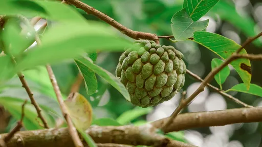 這10種食物「普渡時別拜」 命理師指點求財求愛情祭品這樣選