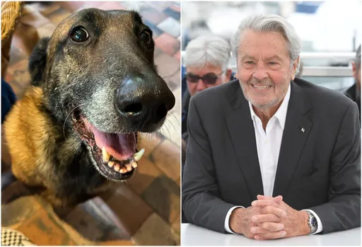 「法國第一美男」亞蘭德倫生前要求愛犬安樂死陪葬 他的家人宣布這麼做