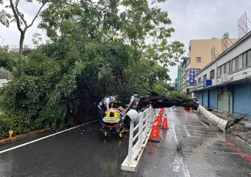 低壓帶影響下大雨 台南民眾半夜被雷聲嚇醒 高雄路樹倒塌砸人