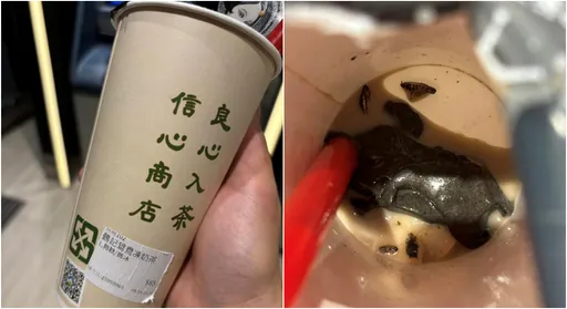 喝芝麻凍「咬到蟑螂」 他曝光鶴茶樓「道歉私訊」改口大讚用心