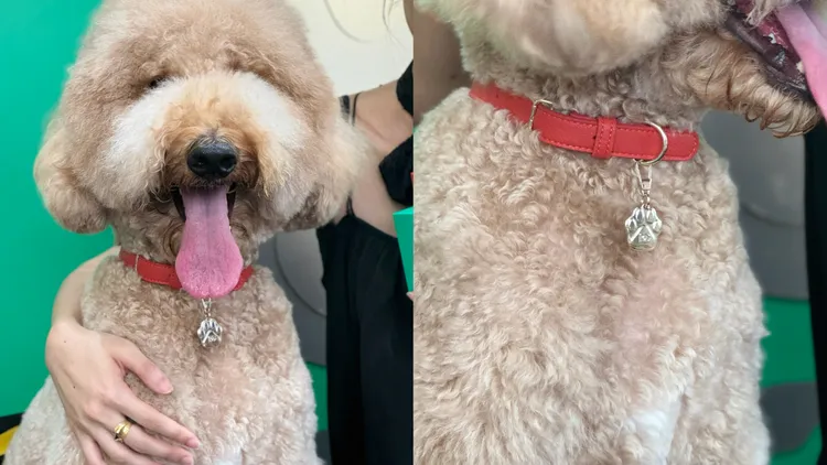 快閃店期間消費滿額可獲得FEFÉ訂製吊飾或FEFÉ訂製頸環。張家玲攝