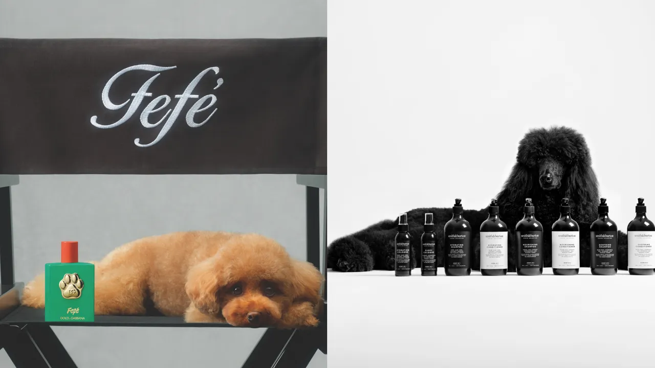 Dolce & Gabbana（左圖）推出狗狗專用香氛；台灣蜜納則將紐西蘭天然寵物保養品牌smith&burton引進台灣開賣。品牌提供
